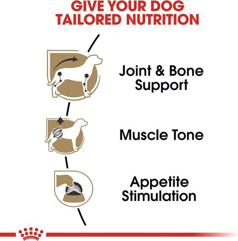 Royal Canin Dachshund Adult Breed Specific Wet Dog Food, 3 oz can (6-Pack) in Saudi Arabia