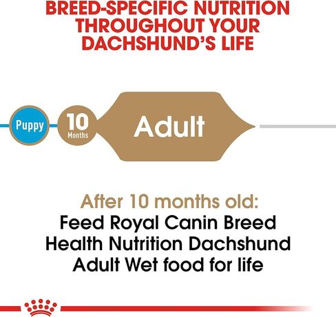 Royal Canin Dachshund Adult Breed Specific Wet Dog Food, 3 oz can (6-Pack) in Saudi Arabia