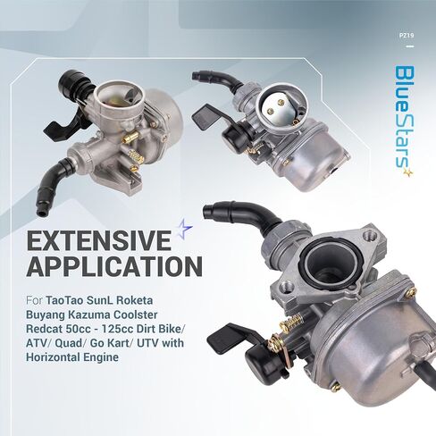 BlueStars PZ19 Carburetor Kit - Compatible with 50cc 70 80 90 110 125cc TaoTao SunL Kazuma Baja Roketa Horizontal engine ATV Go Kart Dirt Bike - Air & Fuel Filter Fuel Line O-rings Gaskets Spark Plug in Saudi Arabia