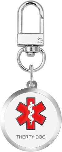 Service Dog in Training Tags for Harness, in Training Service Dog ID Tags,Double Side Engraved Protected Easily Attach to Dog Collar, Harness (Medium-1.18 inch) in Saudi Arabia