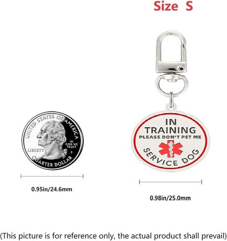 Service Dog in Training Tags for Harness, in Training Service Dog ID Tags,Double Side Engraved Protected Easily Attach to Dog Collar, Harness (Medium-1.18 inch) in Saudi Arabia