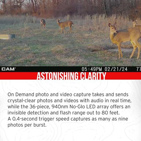 كاميرا خلسة CAM 40MP Deceptor Max Cellular Trail Camera مع بطاقة ذاكرة 32 جيجابايت وقارئ البطاقات (3 عناصر) in Kuwait