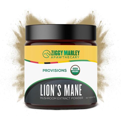Organic Lions Mane Mushroom Powder for Dogs & Cats – Support Cognition – USDA Organic Fruiting Body Extract, 45 Servings in a Resealable Jar in Saudi Arabia