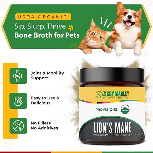 Organic Lions Mane Mushroom Powder for Dogs & Cats – Support Cognition – USDA Organic Fruiting Body Extract, 45 Servings in a Resealable Jar in Saudi Arabia