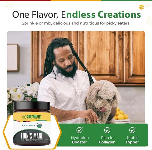Organic Lions Mane Mushroom Powder for Dogs & Cats – Support Cognition – USDA Organic Fruiting Body Extract, 45 Servings in a Resealable Jar in Saudi Arabia
