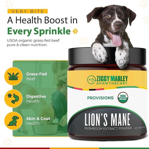 Organic Lions Mane Mushroom Powder for Dogs & Cats – Support Cognition – USDA Organic Fruiting Body Extract, 45 Servings in a Resealable Jar in Saudi Arabia