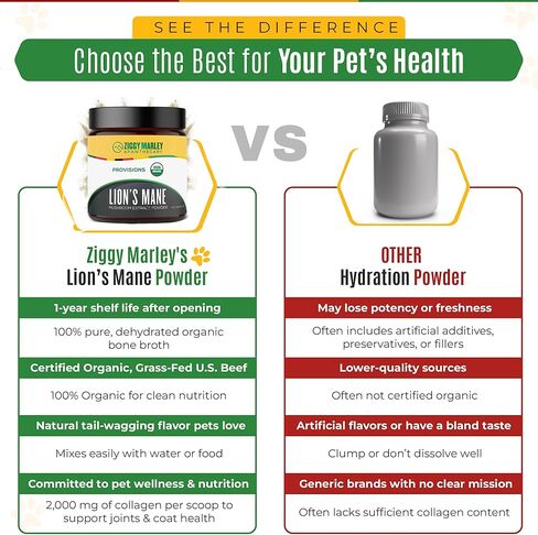 Organic Lions Mane Mushroom Powder for Dogs & Cats – Support Cognition – USDA Organic Fruiting Body Extract, 45 Servings in a Resealable Jar in Saudi Arabia