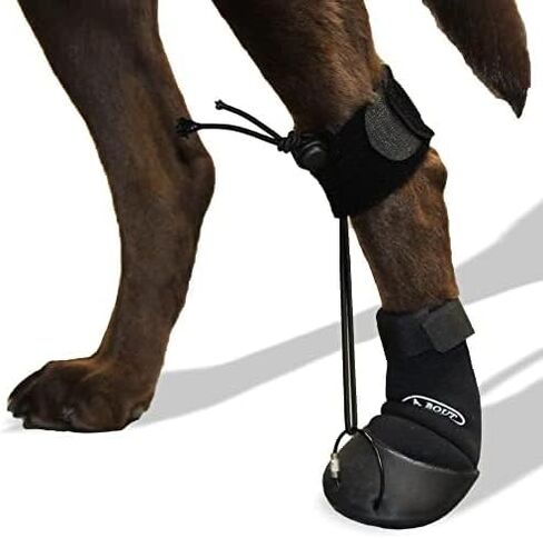 WalkaBout ™ Toe'sup No Knuckling Boot Brace للكلاب سحب PAWS | أحذية الكلاب التصحيحية لرفع أصابع القدم بأمان in Kuwait