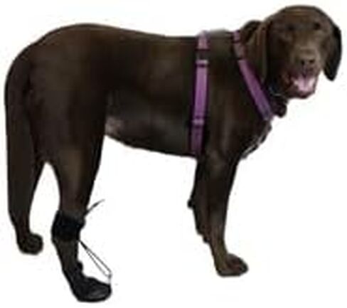 WalkaBout ™ Toe'sup No Knuckling Boot Brace للكلاب سحب PAWS | أحذية الكلاب التصحيحية لرفع أصابع القدم بأمان in Kuwait