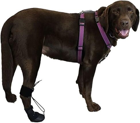 WalkaBout ™ Toe'sup No Knuckling Boot Brace للكلاب سحب PAWS | أحذية الكلاب التصحيحية لرفع أصابع القدم بأمان in Kuwait