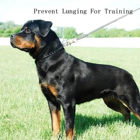 Chain Dog Choke Collar for Large Dogs,Heavy Chain Dog Metal Training Collars, Adjustable Metal Necklace Martingale Puppy Collars for XXS XS Small Medium Large Big XL Breed Dogs, Silver L in Kuwait