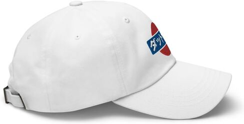Retro Datsun Kanji Japanese Car Enthusiasts Embroidered Dad hat Fairlady z 240z 280z 510 S30 in Saudi Arabia