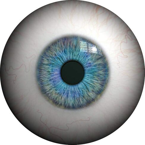ملصق فينيل يموت مقطع مقطع العين لمصدات السيارة Windows أجهزة الكمبيوتر المحمولة زجاجة الماء الأبيض in Saudi Arabia