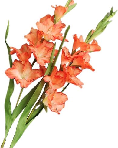 Long Stem Artificial Gladiolus Flower, Set of 2, Home/Wedding/Office Decor (Orange) in Saudi Arabia