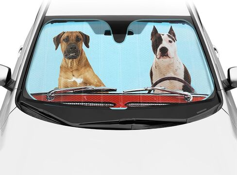 BDK USA Pibes Good Beach Sun Visor for Car Windshield Sunshade - Truck Sun Shade Windshield Cover & Window Window Cover Care Shield Sun Protector - Dash Protection للحفاظ على سيارتك باردة 58 "x27" in Saudi Arabia