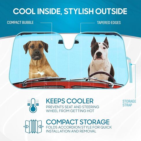 BDK USA Pibes Good Beach Sun Visor for Car Windshield Sunshade - Truck Sun Shade Windshield Cover & Window Window Cover Care Shield Sun Protector - Dash Protection للحفاظ على سيارتك باردة 58 "x27" in Saudi Arabia
