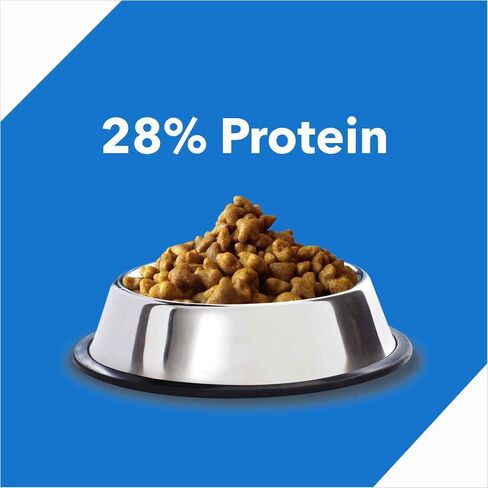 Drools Kitten Dry Cat Food Ocean Fish, 8.82lb (6.62lb + 2.21lb Free) – Sardine, Mackerel, Omega Fatty Acids for Growth, Health, Skin, Coat & Urinary Health in Saudi Arabia