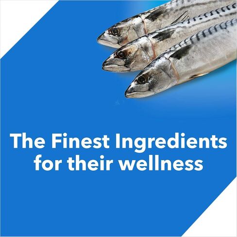 Drools Kitten Dry Cat Food Ocean Fish, 8.82lb (6.62lb + 2.21lb Free) – Sardine, Mackerel, Omega Fatty Acids for Growth, Health, Skin, Coat & Urinary Health in Saudi Arabia