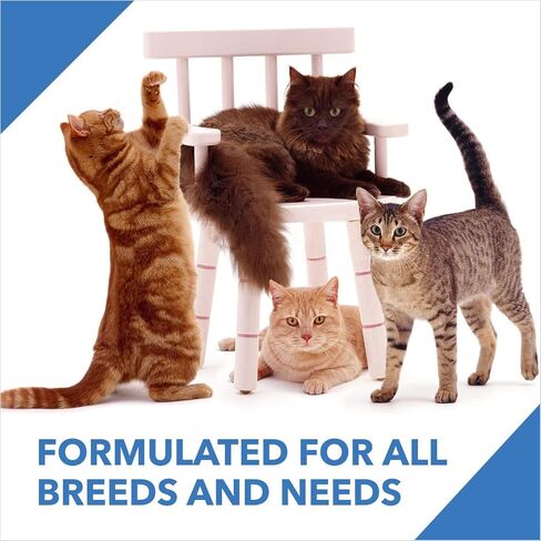 Drools Kitten Dry Cat Food Ocean Fish, 8.82lb (6.62lb + 2.21lb Free) – Sardine, Mackerel, Omega Fatty Acids for Growth, Health, Skin, Coat & Urinary Health in Saudi Arabia