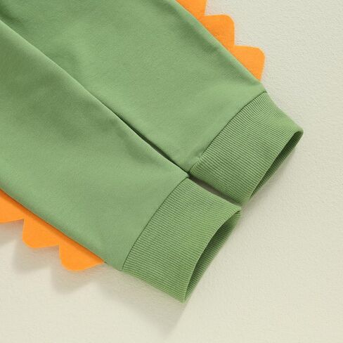 Toddler Baby Girl Boys Fall Outfits Dinosaur Embroidery Long Sleeve Animal Style Sweatshirts Top Pants Clothes Set in Kuwait