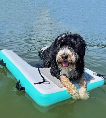قابلة للنفخ في ماء مياه المنحدر العائم منحدرات عائمة للكلاب خطوات سلم ماء مثالية للمسابح والبحير in Kuwait