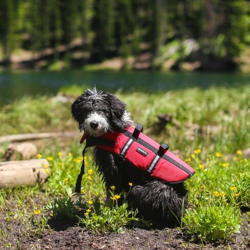 Zippypaws Adventure Dog Jack Stake - سترة حياة للكلاب للسباحة والركاب ، ويناسب الحيوانات الأليفة الصغيرة ، وأجهزة تعويم الكلاب خفيفة الوزن من أجل سلامة المياه ، والمقبض المبطن ، وملاءمة قابلة للتعديل ، 16-20 " - صغيرة ، حمراء in Kuwait