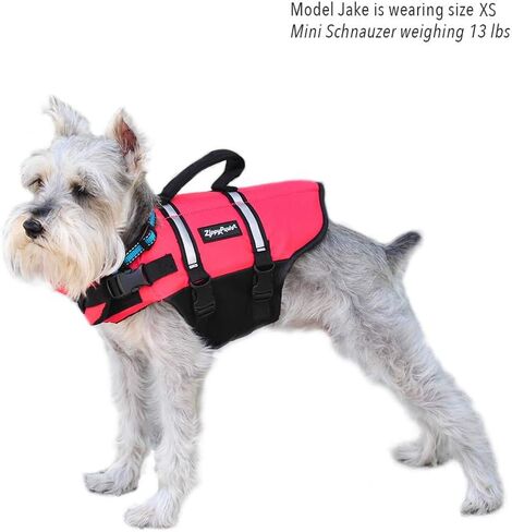 Zippypaws Adventure Dog Jack Stake - سترة حياة للكلاب للسباحة والركاب ، ويناسب الحيوانات الأليفة الصغيرة ، وأجهزة تعويم الكلاب خفيفة الوزن من أجل سلامة المياه ، والمقبض المبطن ، وملاءمة قابلة للتعديل ، 16-20 " - صغيرة ، حمراء in Kuwait