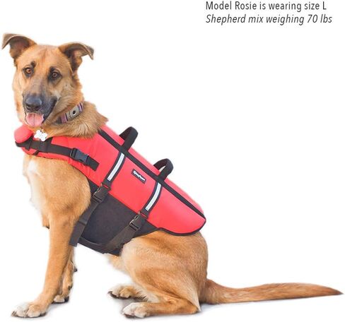Zippypaws Adventure Dog Jack Stake - سترة حياة للكلاب للسباحة والركاب ، ويناسب الحيوانات الأليفة الصغيرة ، وأجهزة تعويم الكلاب خفيفة الوزن من أجل سلامة المياه ، والمقبض المبطن ، وملاءمة قابلة للتعديل ، 16-20 " - صغيرة ، حمراء in Kuwait