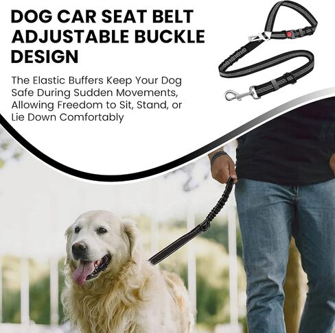 Best Dog Supplies Dog Car Seatbelt - Adjustable Buckle Design Elastic Nylon Vehicle Seatbelt Plus Durable Tangle-Free Headrest Harness Sturdy Dog Seatbelt - Perfect for Pets – Purple in Saudi Arabia