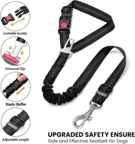 Best Dog Supplies Dog Car Seatbelt - Adjustable Buckle Design Elastic Nylon Vehicle Seatbelt Plus Durable Tangle-Free Headrest Harness Sturdy Dog Seatbelt - Perfect for Pets – Purple in Saudi Arabia
