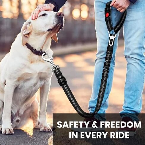 Best Dog Supplies Dog Car Seatbelt - Adjustable Buckle Design Elastic Nylon Vehicle Seatbelt Plus Durable Tangle-Free Headrest Harness Sturdy Dog Seatbelt - Perfect for Pets – Purple in Saudi Arabia