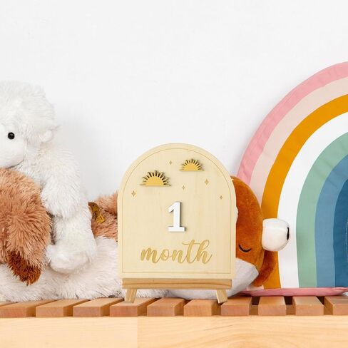 R HORSE Baby Monthly Milestone Sign - 25Pcs Coquette Pink Bow 3D Wooden Monthly Milestone Marker Discs, Newborn Announcement Sign Festive Decor Baby Shower Birthday Gift Photo Props for Toddler Girls in Saudi Arabia