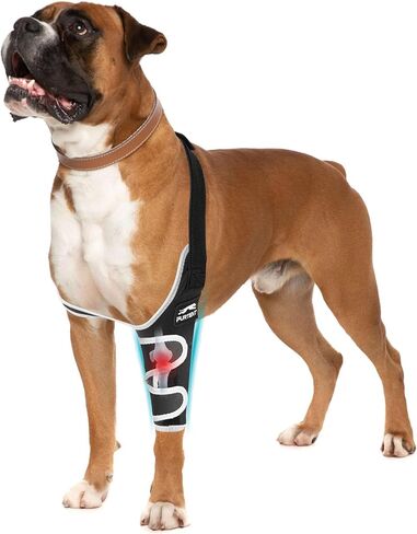 Dog Elbow Protector for Pet Elbow Dysplasia, Shoulder Dislocation - Offers Elbow Support, Dog Recovery Suit Taper Collar Alternative, Helps Wound Healing, Prevents Licking and Biting, XXL in Saudi Arabia