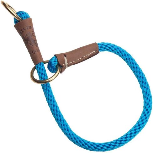 Mendota Pet Command Slip Collar - Dog Training Collar - Made in The USA - Orange - 22 in in Saudi Arabia