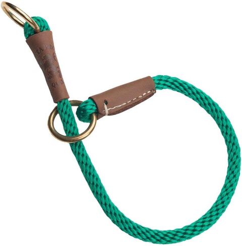 Mendota Pet Command Slip Collar - Dog Training Collar - Made in The USA - Orange - 22 in in Saudi Arabia