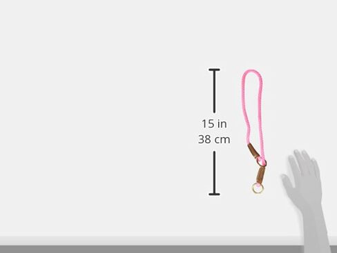 Mendota Pet Command Slip Collar - Dog Training Collar - Made in The USA - Orange - 22 in in Saudi Arabia