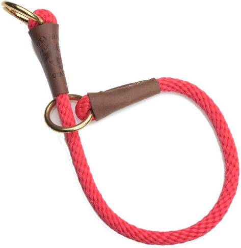 Mendota Pet Command Slip Collar - Dog Training Collar - Made in The USA - Orange - 22 in in Saudi Arabia