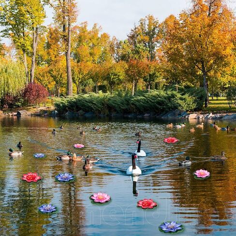 Framendino ، 7 Pack Floatial Foam Foam Lotus Flower Flower Pads for Home Garden Pond Decoration in Saudi Arabia