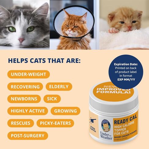 Under the Weather Ready Cal Powder for Dogs | High-Calorie Weight Gainer & Appetite Stimulant | Dog Energy Booster Veterinarian-Approved Pet Supplement with Vitamins & Minerals | Chicken Flavor |12 oz in Saudi Arabia