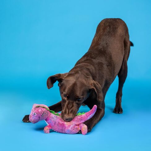 Fringe Studio Dog Toy, Summa Time Rex-Plush Pet Toy (289363) for All Breed Sizes, 1 Count (Pack of 1) in Saudi Arabia