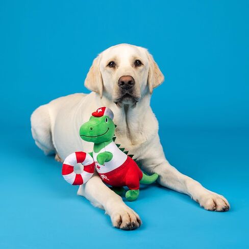Fringe Studio Dog Toy, Summa Time Rex-Plush Pet Toy (289363) for All Breed Sizes, 1 Count (Pack of 1) in Saudi Arabia