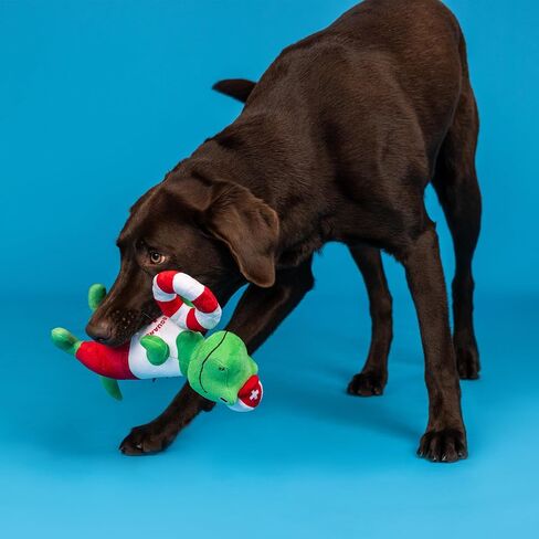 Fringe Studio Dog Toy, Summa Time Rex-Plush Pet Toy (289363) for All Breed Sizes, 1 Count (Pack of 1) in Saudi Arabia