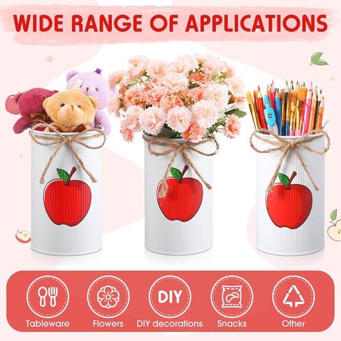 DOMENSI 6 PCS Apple FASES TABLE CENTRICE COMPLIES Back to School Teacher Education Gifts DIY Apple Golvanized Metals for Flower Pen Holder Jar for Class -stall Office Home Decorations (Pink) in Kuwait