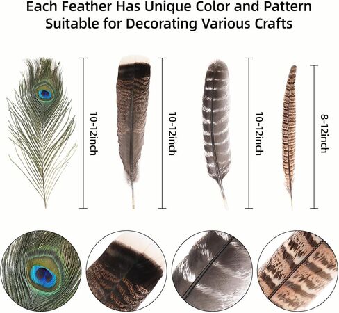 Ballinger Natural Pheasant Craft Feathers - 4 Styles 24pcs 8-12inch Assorted Large Feathers Bulk,Peacock Feathers, Pheasant Feathers,Turkey Feathers for Crafting Vase Hat Wedding Autumn Party Decor in Saudi Arabia
