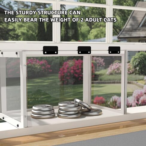 Window Cat Perch Catio, Wood Cat Window Box, Window Catio for Indoor Cats. Catio Window for 2 Adult Cats. Cat Window Box Fits Vertical Windows 24"-36" Wide KGCCIZI. in Saudi Arabia