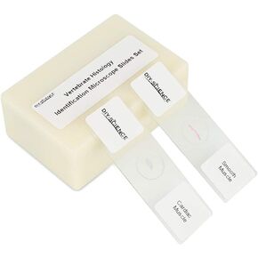 Chick Embryo Development Stages (Dissection), 6PCS Prepared Whole Mount Microscope Slides Set