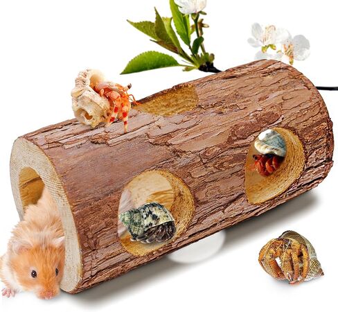 ألعاب تسلق السلطعون الناسك، مخبأ السلطعون الناسك، ديكور تسلق الزواحف لموطن السلطعون الناسك الصغير أو المتوسط ​​(شجرة مجوفة للسلطعون الناسك) in Kuwait