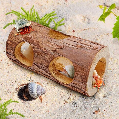 ألعاب تسلق السلطعون الناسك، مخبأ السلطعون الناسك، ديكور تسلق الزواحف لموطن السلطعون الناسك الصغير أو المتوسط ​​(شجرة مجوفة للسلطعون الناسك) in Kuwait