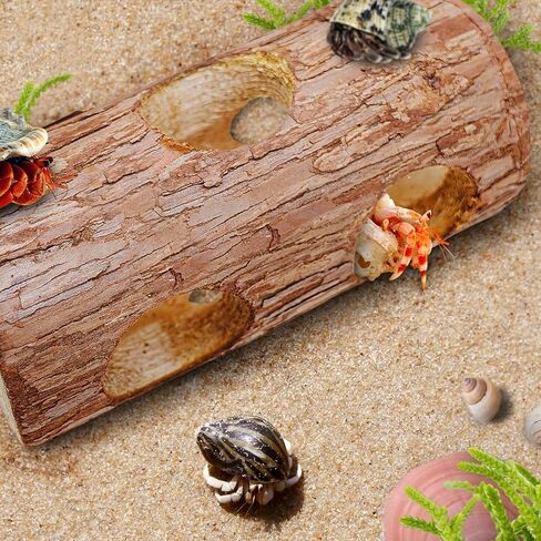 ألعاب تسلق السلطعون الناسك، مخبأ السلطعون الناسك، ديكور تسلق الزواحف لموطن السلطعون الناسك الصغير أو المتوسط ​​(شجرة مجوفة للسلطعون الناسك) in Kuwait