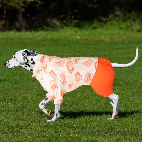 LovinPet Pet Pajamas, Bottoming Dog Shirt for Dog Coats, Anti Licking, Anxiety Calming Onesies for Dogs, Elastic Shimmer & Shine Daisies White Prints Pullover Big Dog Pajamas in Saudi Arabia